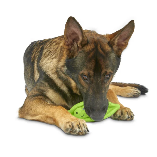 Foodie Faces Latex Peapod Dog Toy - Image 2