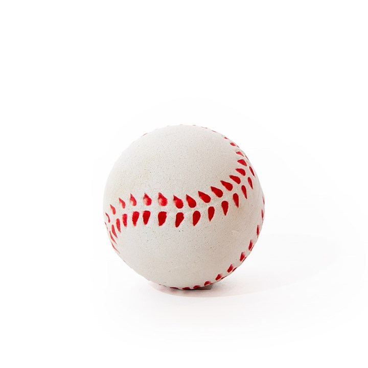 Sports Ball Dog Toy - Image 3