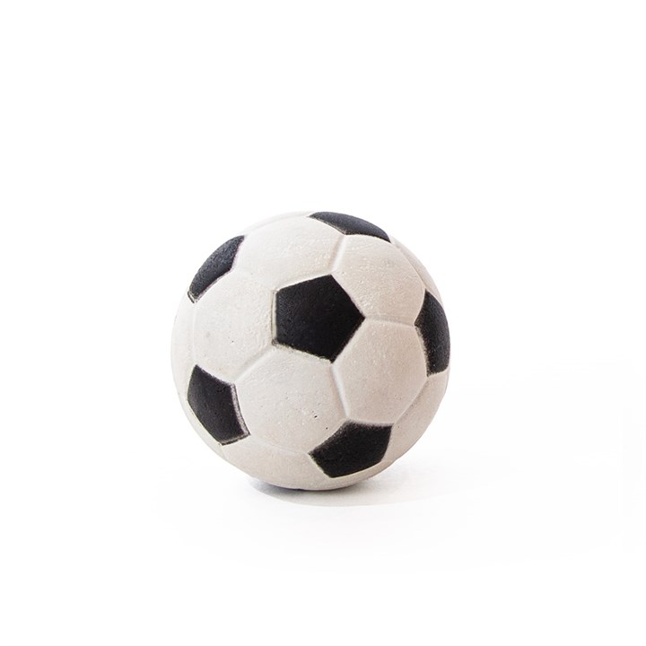 Sports Ball Dog Toy - Image 4