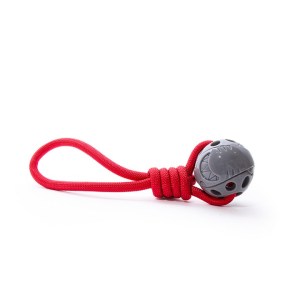 Stay Wild Shark & Rope Dog Toy