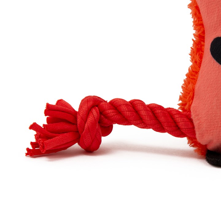Small Cute Fox with Rope Dog Toy - Image 2